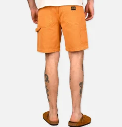 STAN RAY USA Shorts*Painter Short Driftwood Duck