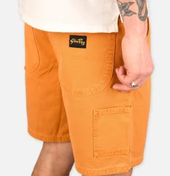 STAN RAY USA Shorts*Painter Short Driftwood Duck