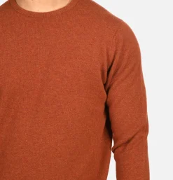 WILLIAM LOCKIE Pulls & Cardigans*Pull Col Rond Tiger