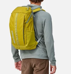 PATAGONIA ACCESSORIES Sacs À Dos*Sac Black Hole Pack 25l SHRG